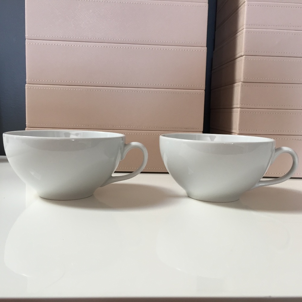 Crate & Barrel Cappuccino Cups Mugs Pair Set of 2